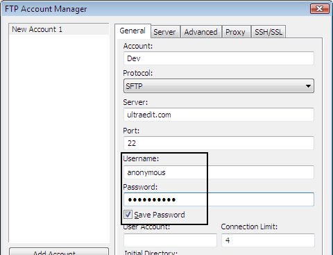 FTP Account Manager Window